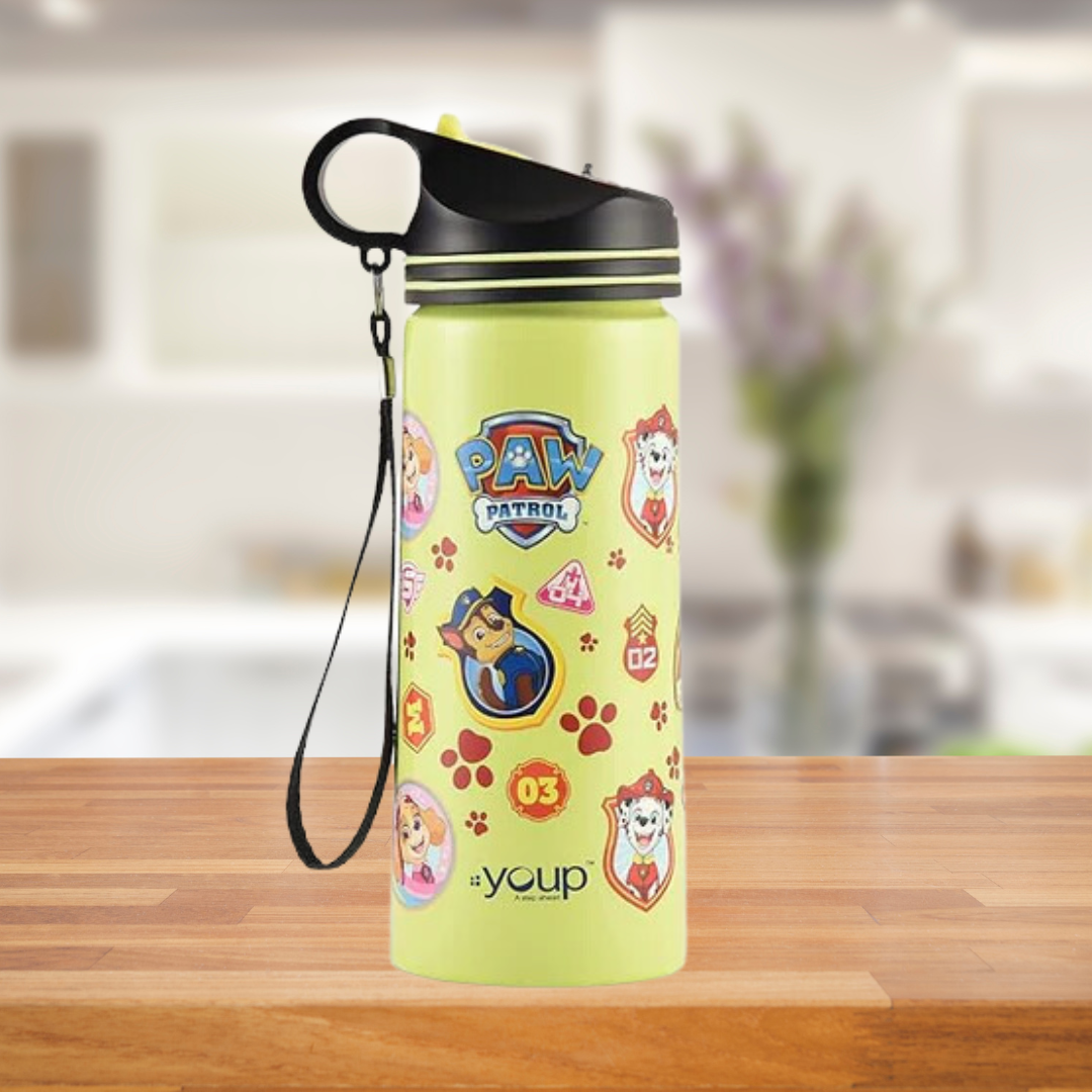Youp Stainless Steel Color Sipper Bottle Daisy - 750 ml Multicolor