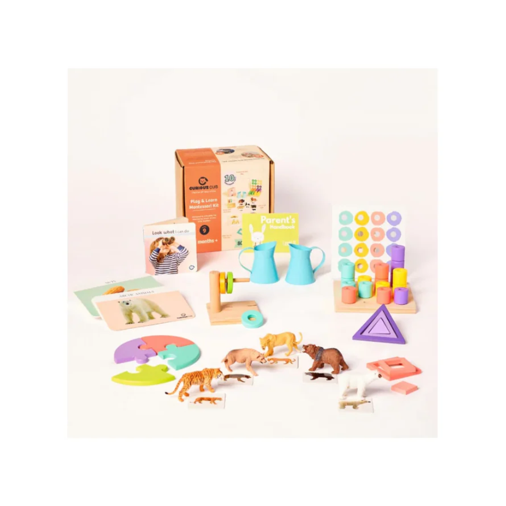 Curious Cub Montessori Learning Wooden Toys Level -9 19 months+