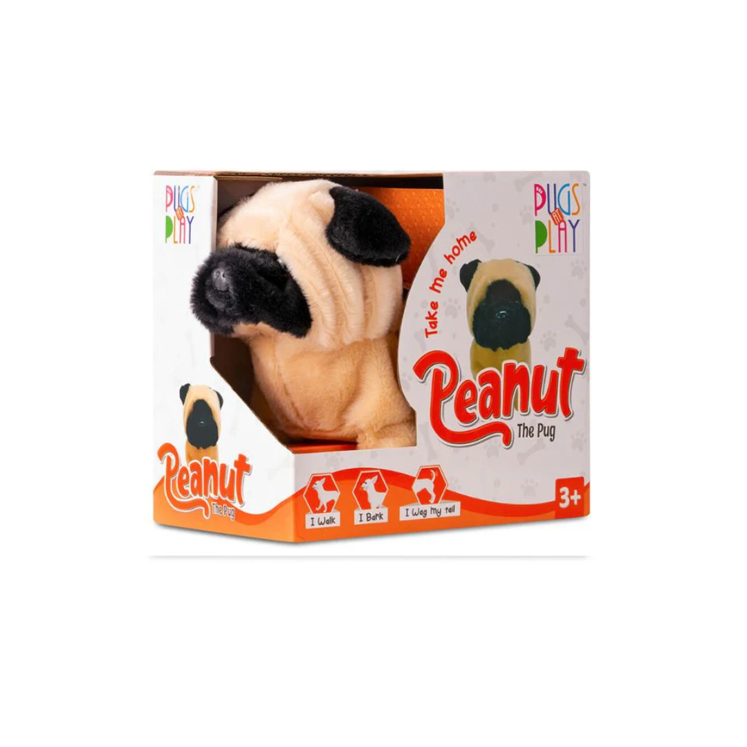 Pugs Play Peanut Walking Dog