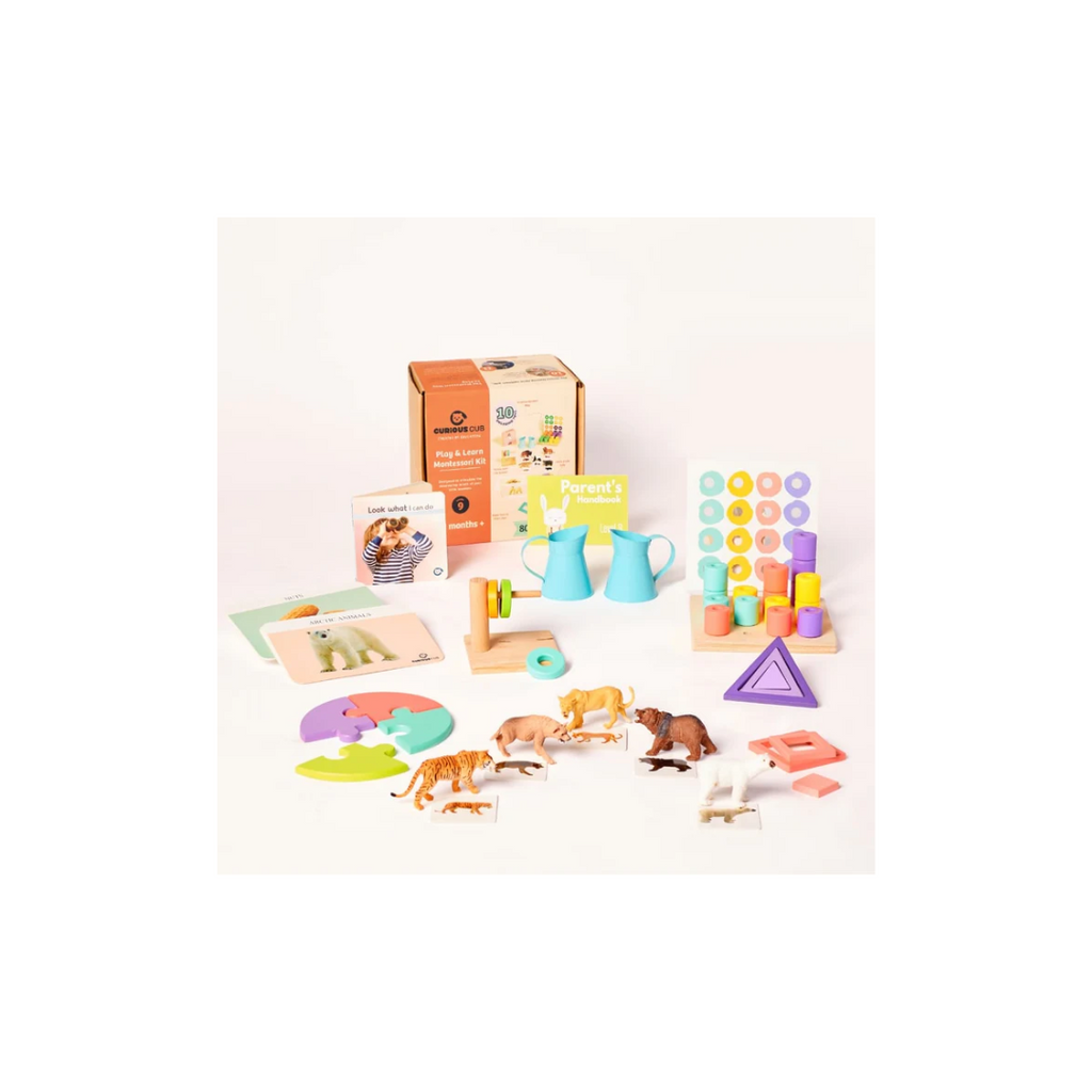 Curious Cub Montessori Learning Wooden Toys Level -9 19 months+