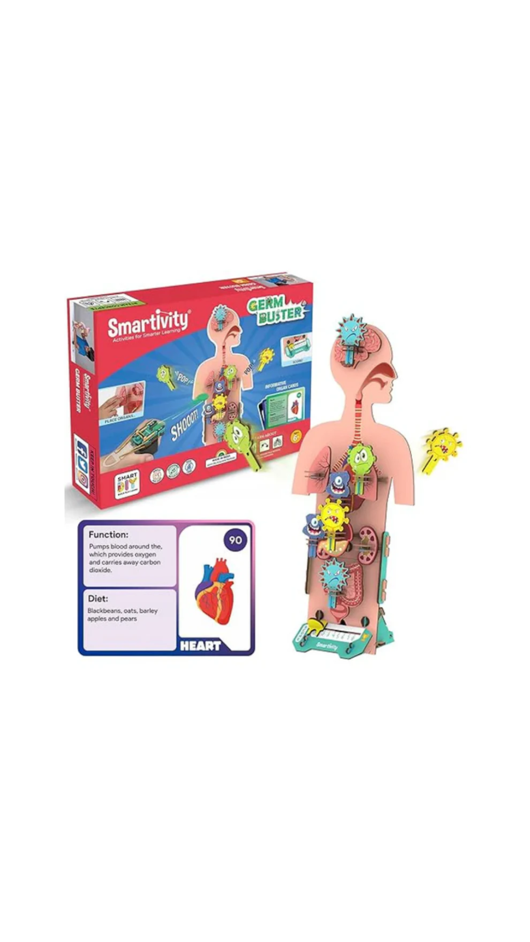 Smartivity Human Body Germ Buster