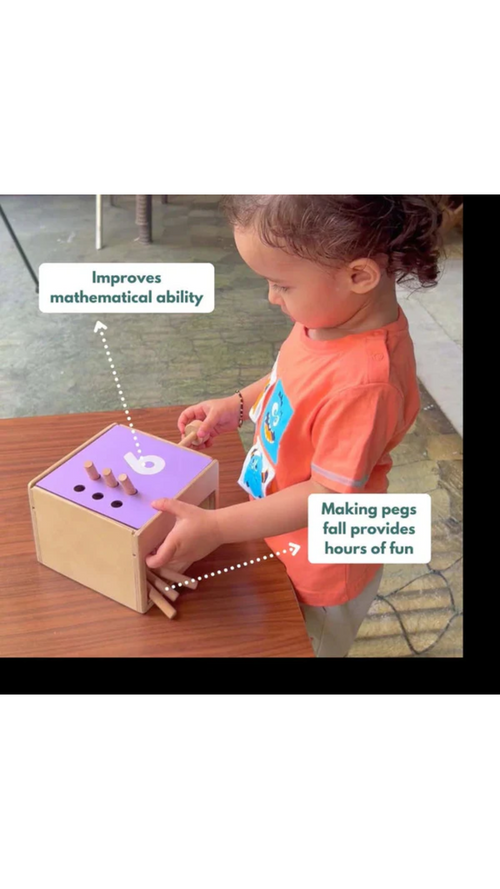 Curious Cub Wooden Count & Drop Box