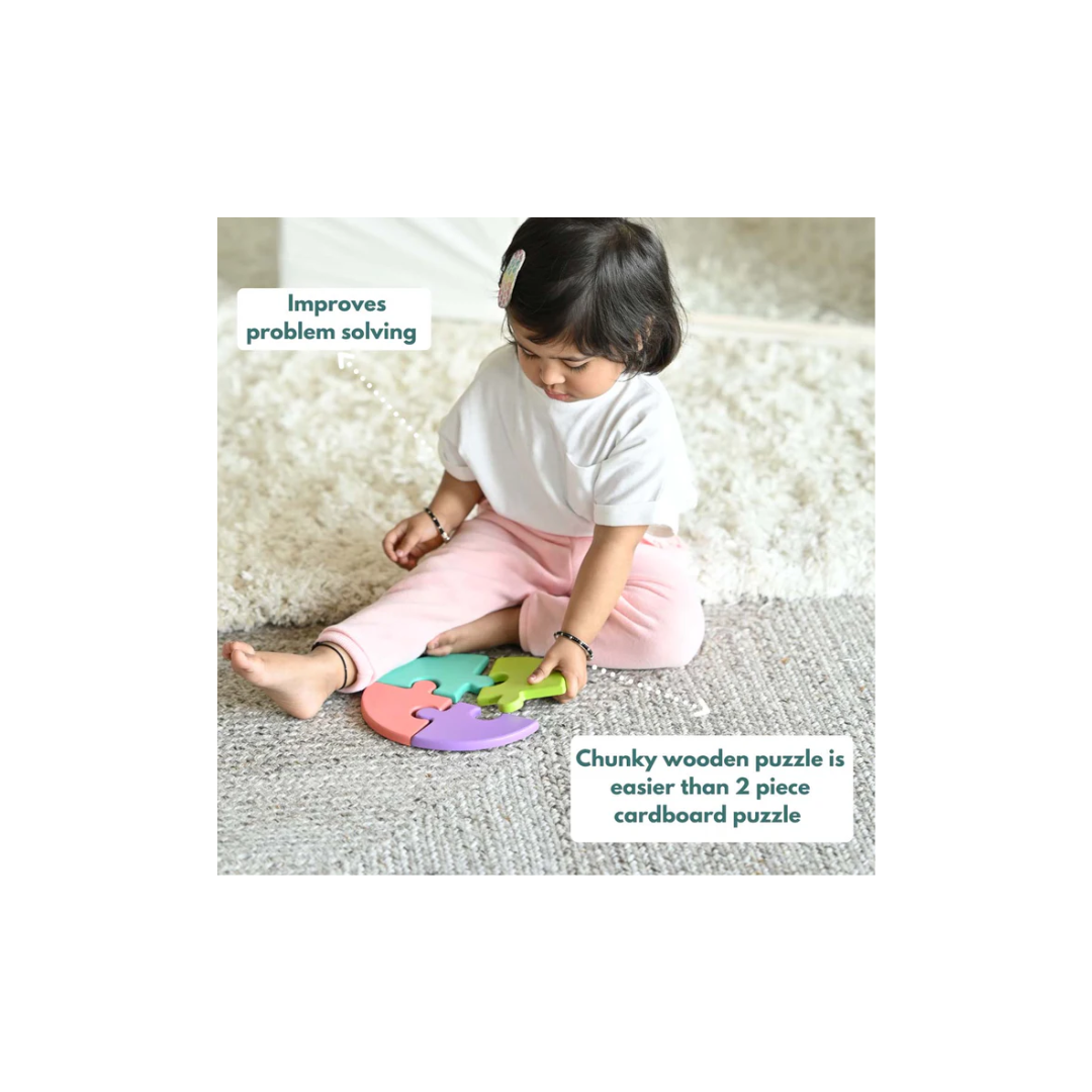 Curious Cub Montessori Learning Wooden Toys Level -9 19 months+