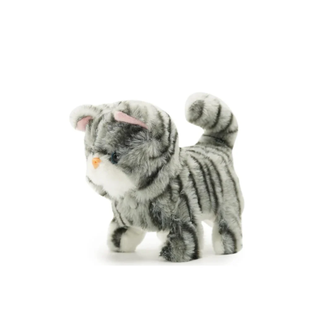 Pugs at Play Zoe Walking Cat