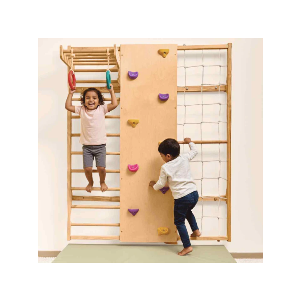 Curious Cub Wooden Wall Mounted Jungle Gym