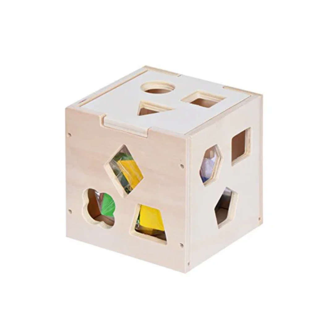 Rainbow Toys  15 Hole Shape Intelligence Box for Kids