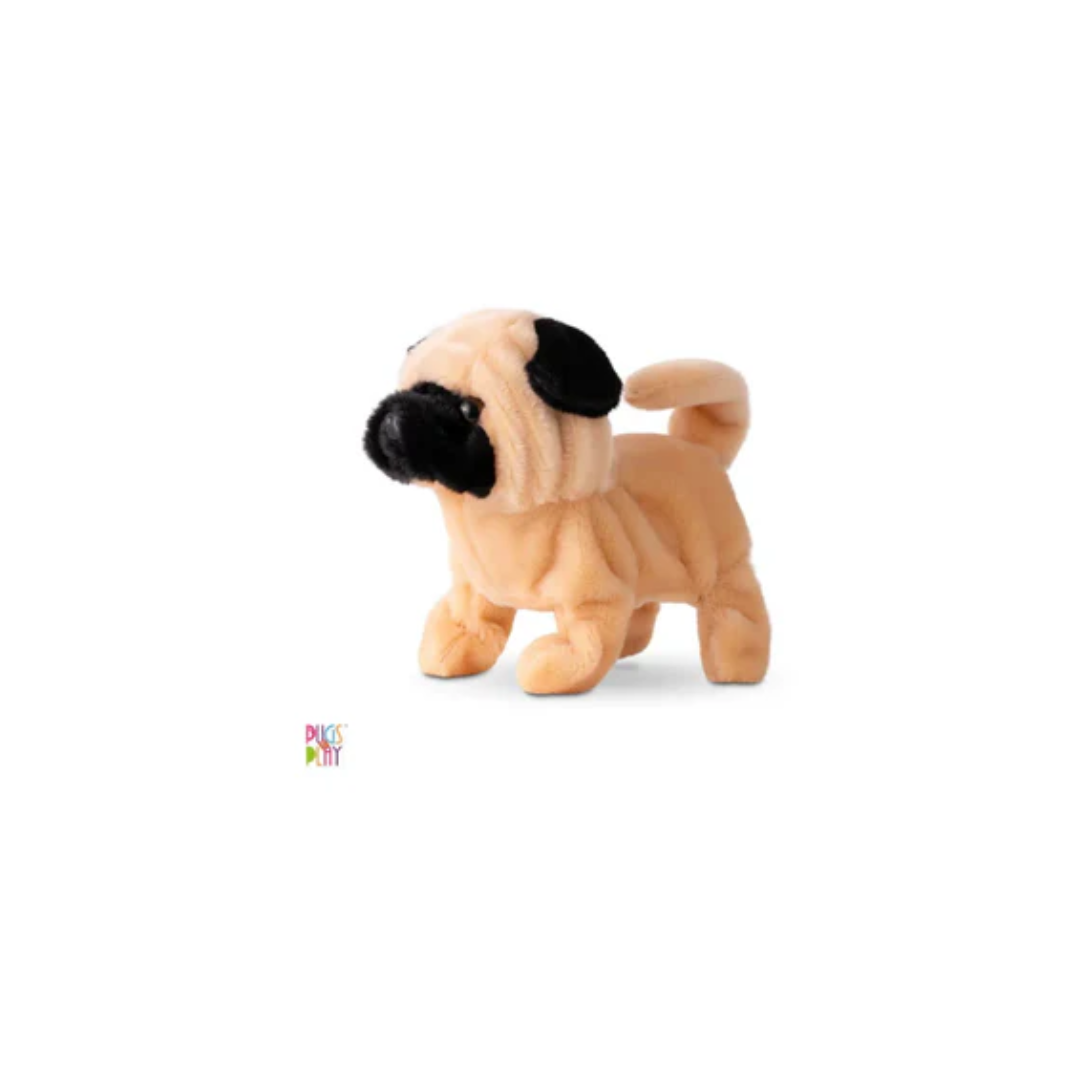 Pugs Play Peanut Walking Dog