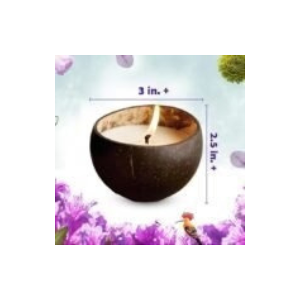 Kreeda Candle Making Kit for Kids & Adults