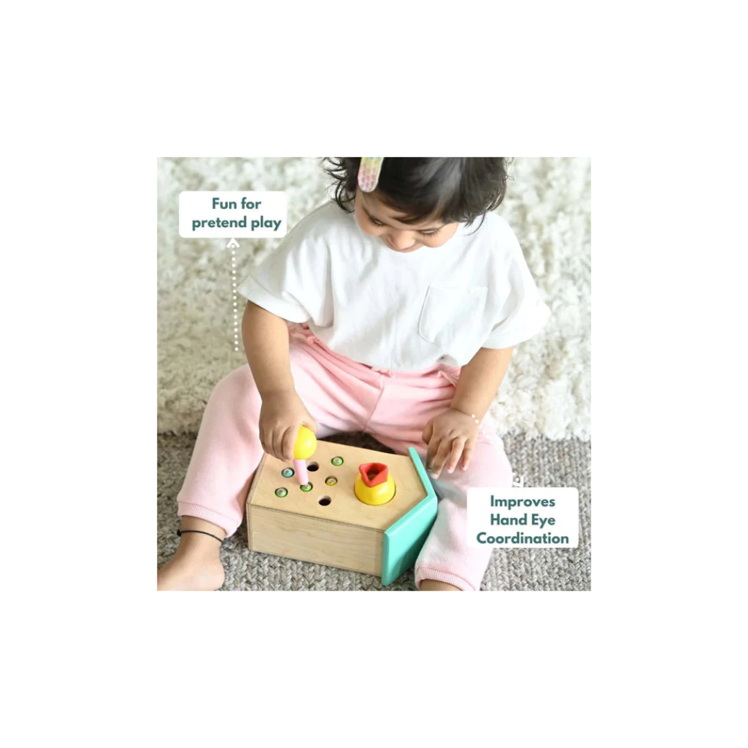 Curious Cub Magnetic Bird Feeder