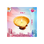 Kreeda Natural Sea Shells Candle Making Kit for Kids