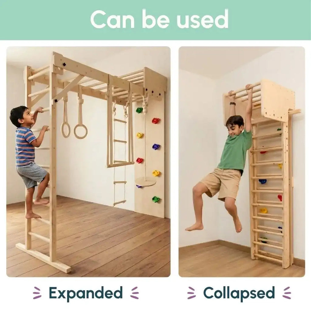 Curious Cub Wall Foldable Jungle Gym