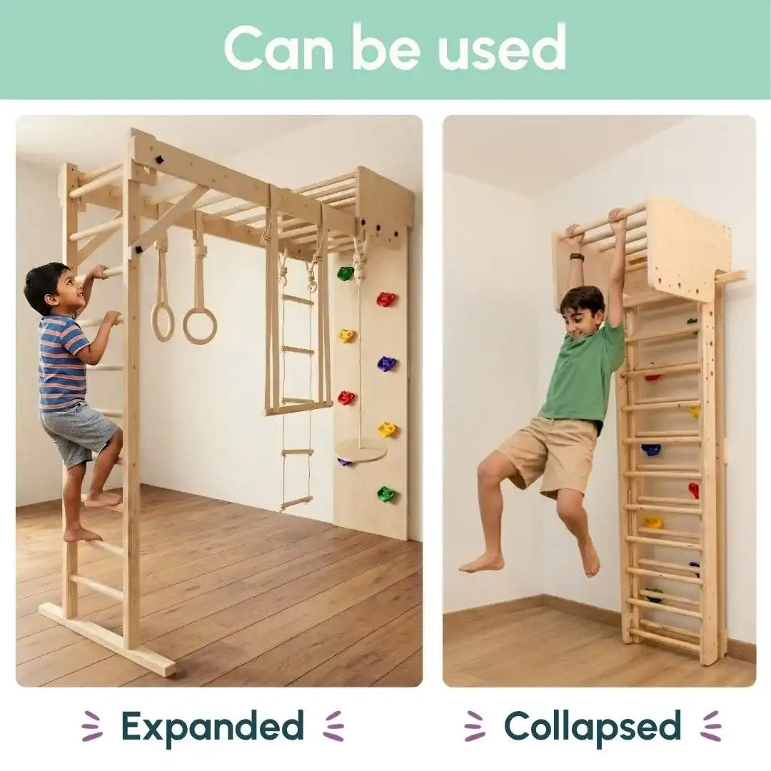 Curious Cub Wall Foldable Jungle Gym