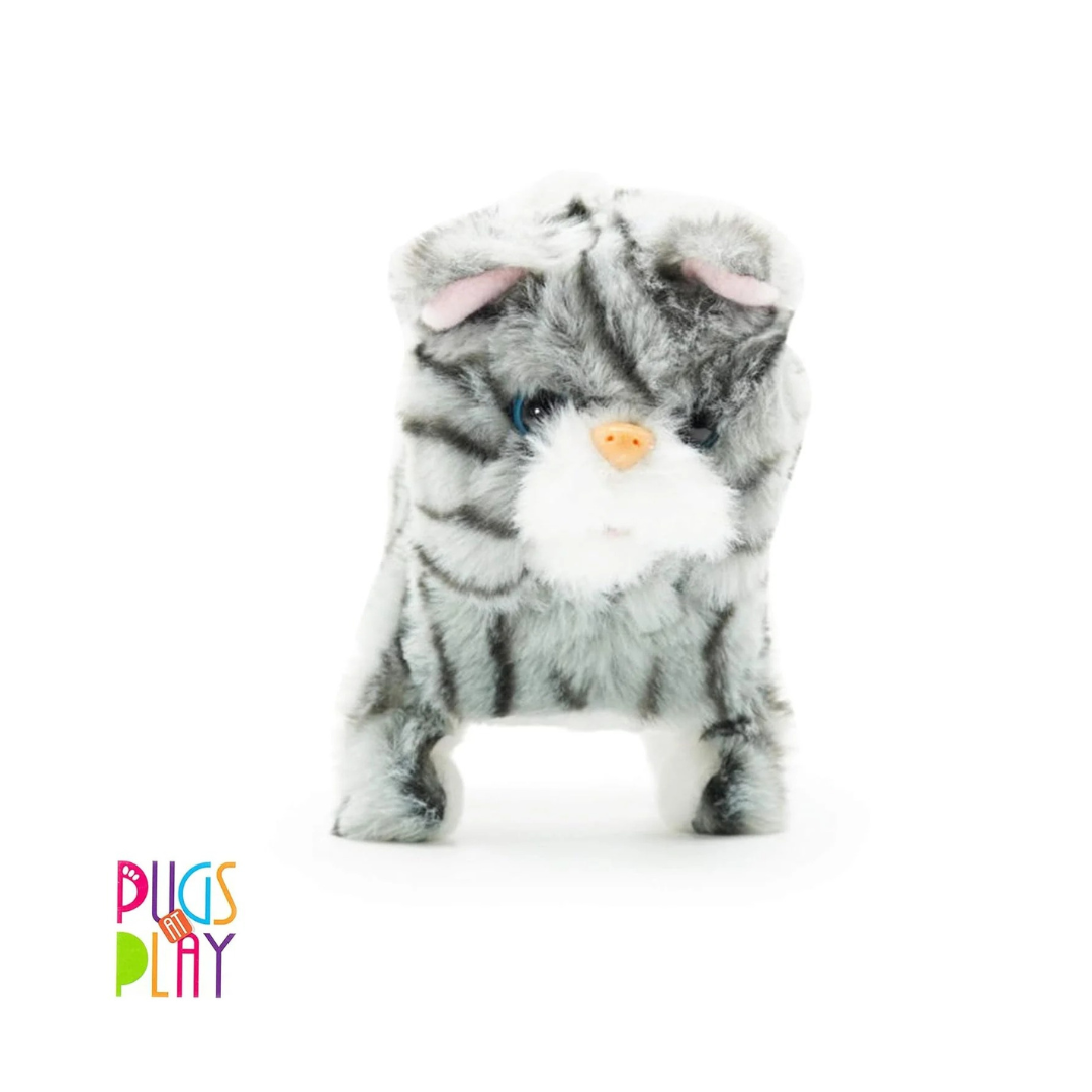 Pugs at Play Zoe Walking Cat