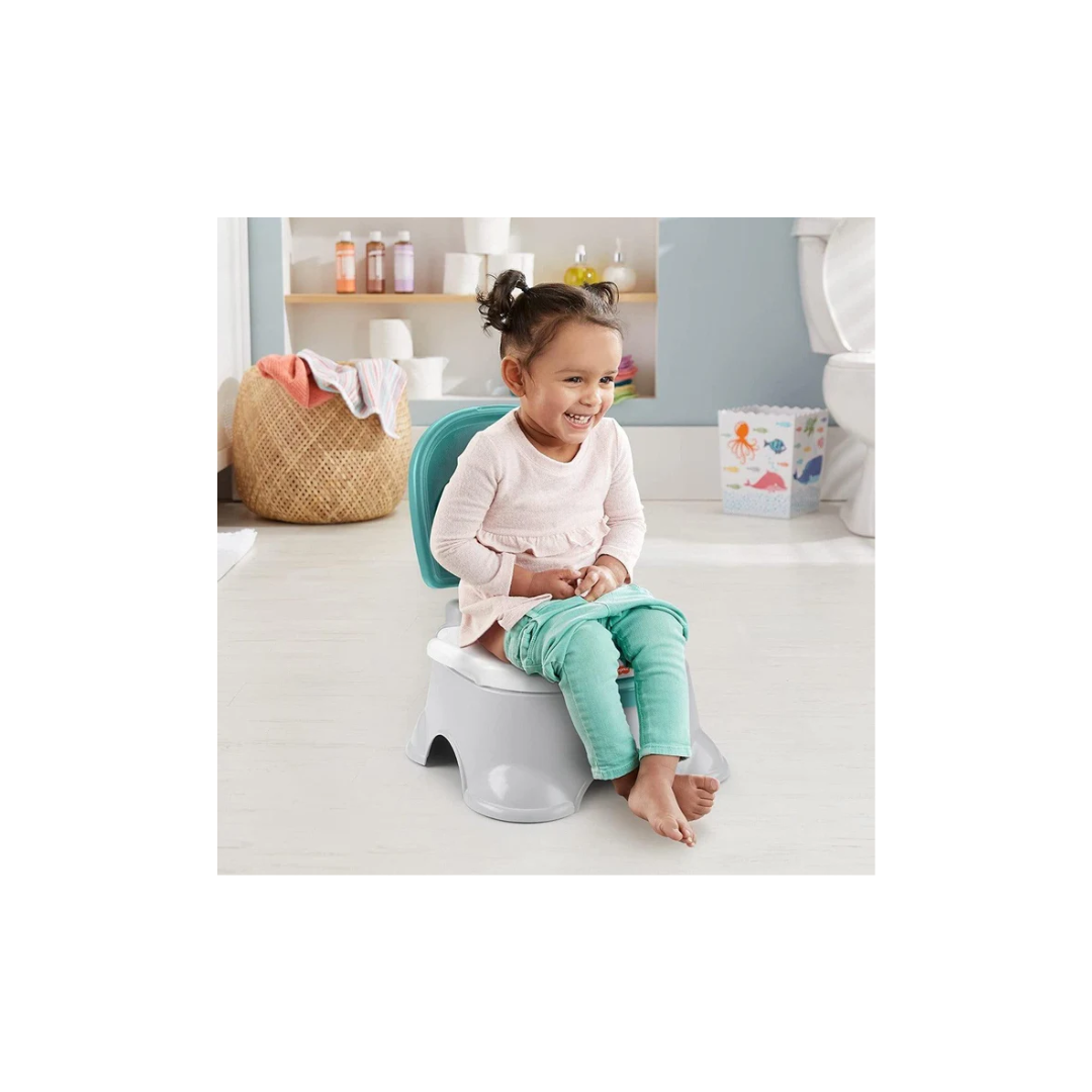 Fisher-Price 3-in-1 Potty Seat