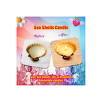 Kreeda Natural Sea Shells Candle Making Kit for Kids