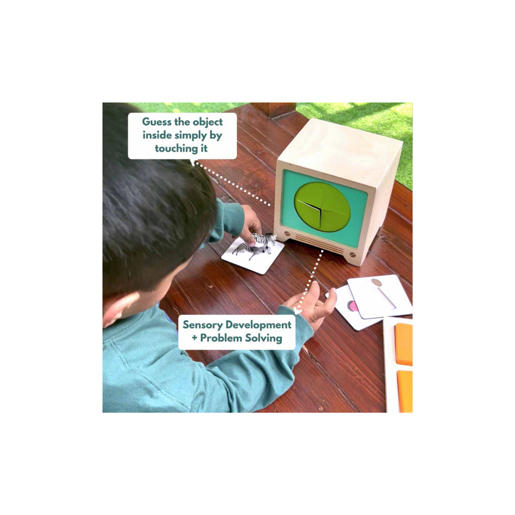 Curious Cub Montessori Box- 2 Years 9 Months + (Level- 14)