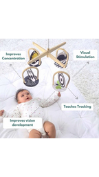 Curious Cub Wooden Montessori Box - 0 Months + (Level- 1)