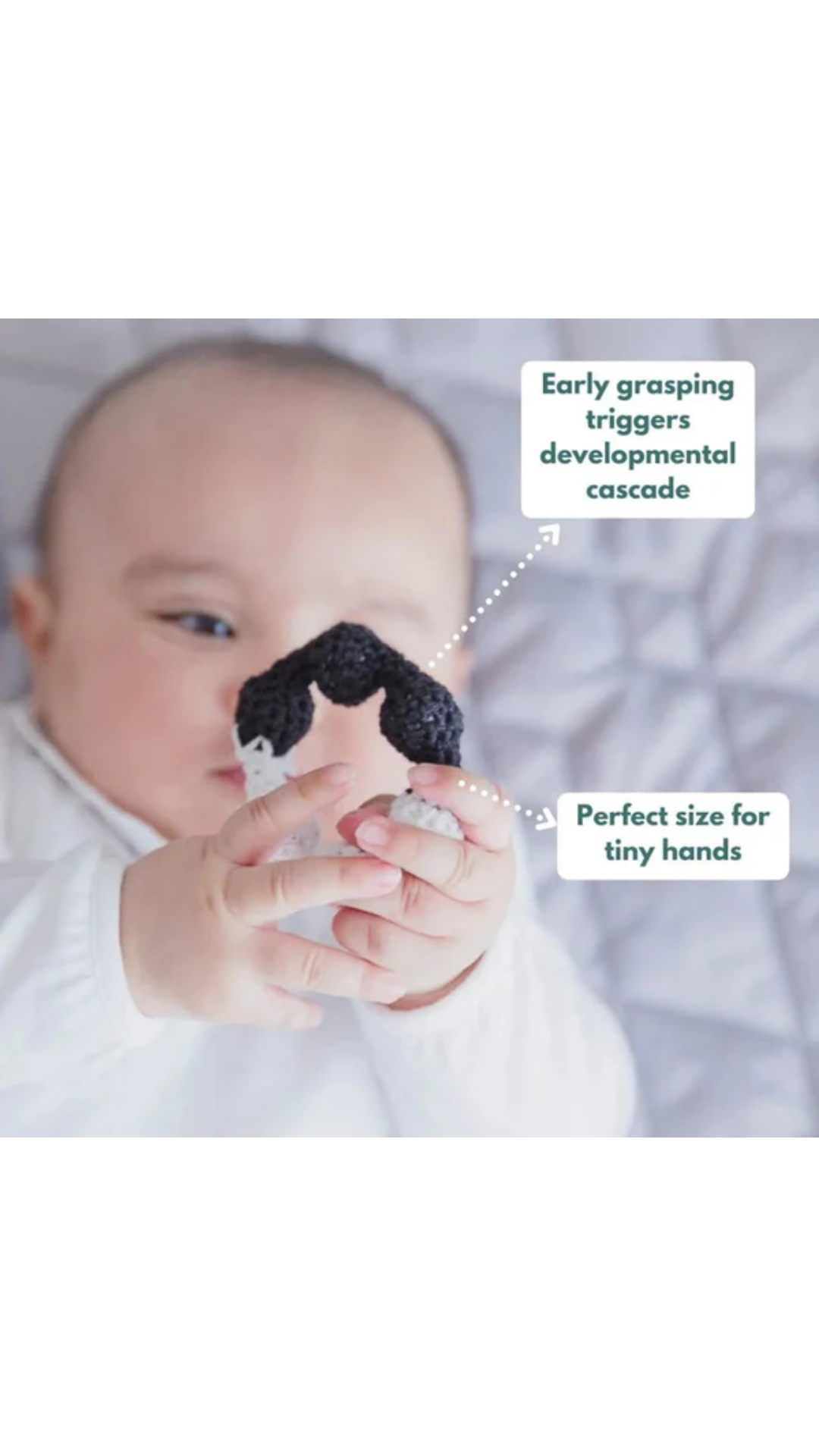 Curious Cub Wooden Montessori Box - 0 Months + (Level- 1)