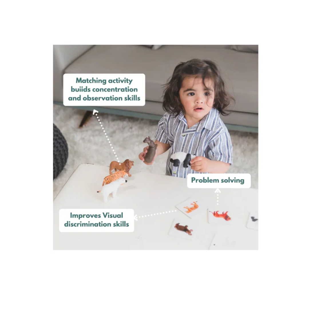 Curious Cub Montessori Learning Wooden Toys Level -9 19 months+