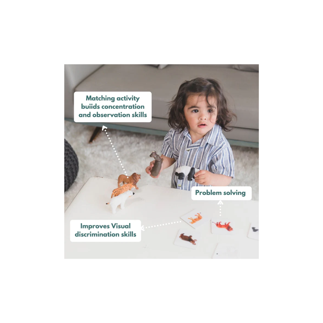 Curious Cub Montessori Learning Wooden Toys Level -9 19 months+