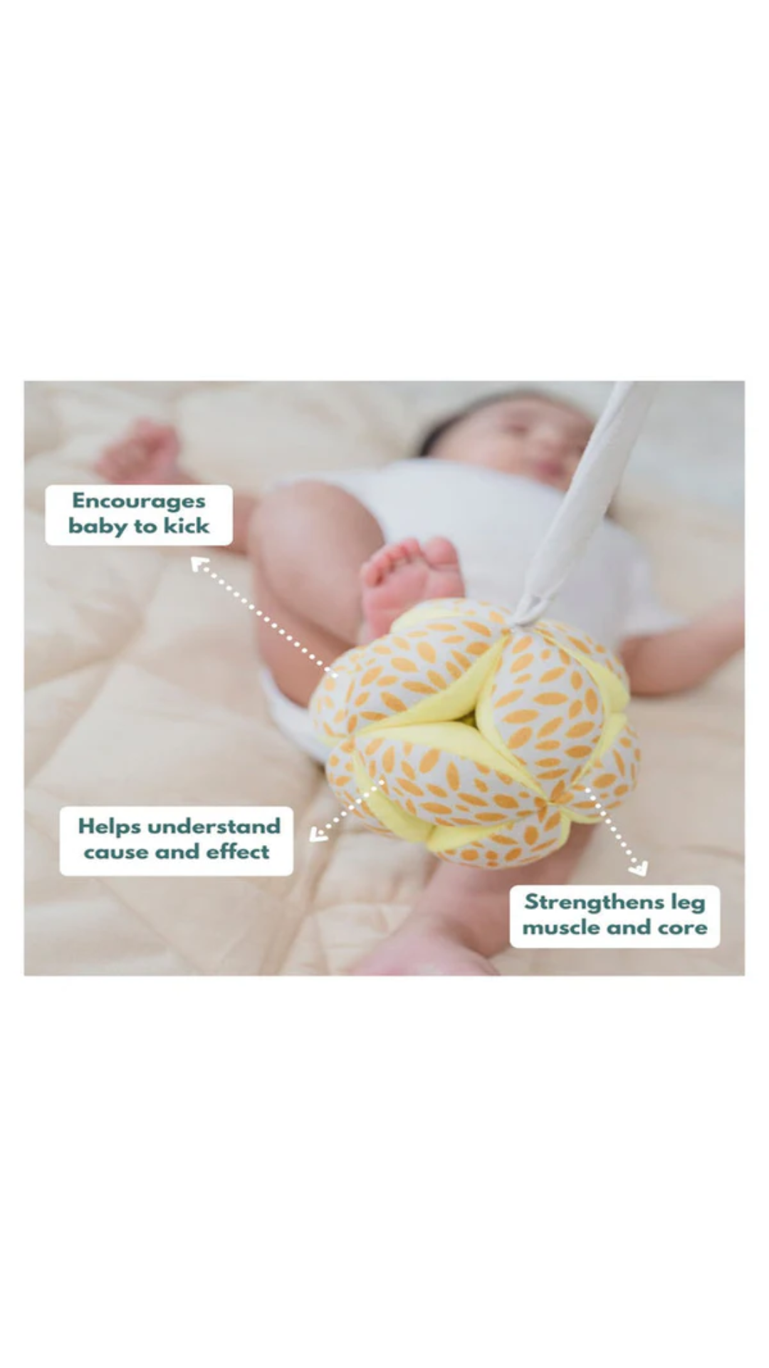 Curious Cub Wooden Montessori Box - 0 Months + (Level- 1)