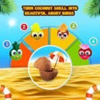Kreeda Coconut Shells Art & Craft Kit, CocoAngry Birds DIY Creative Activity Kit