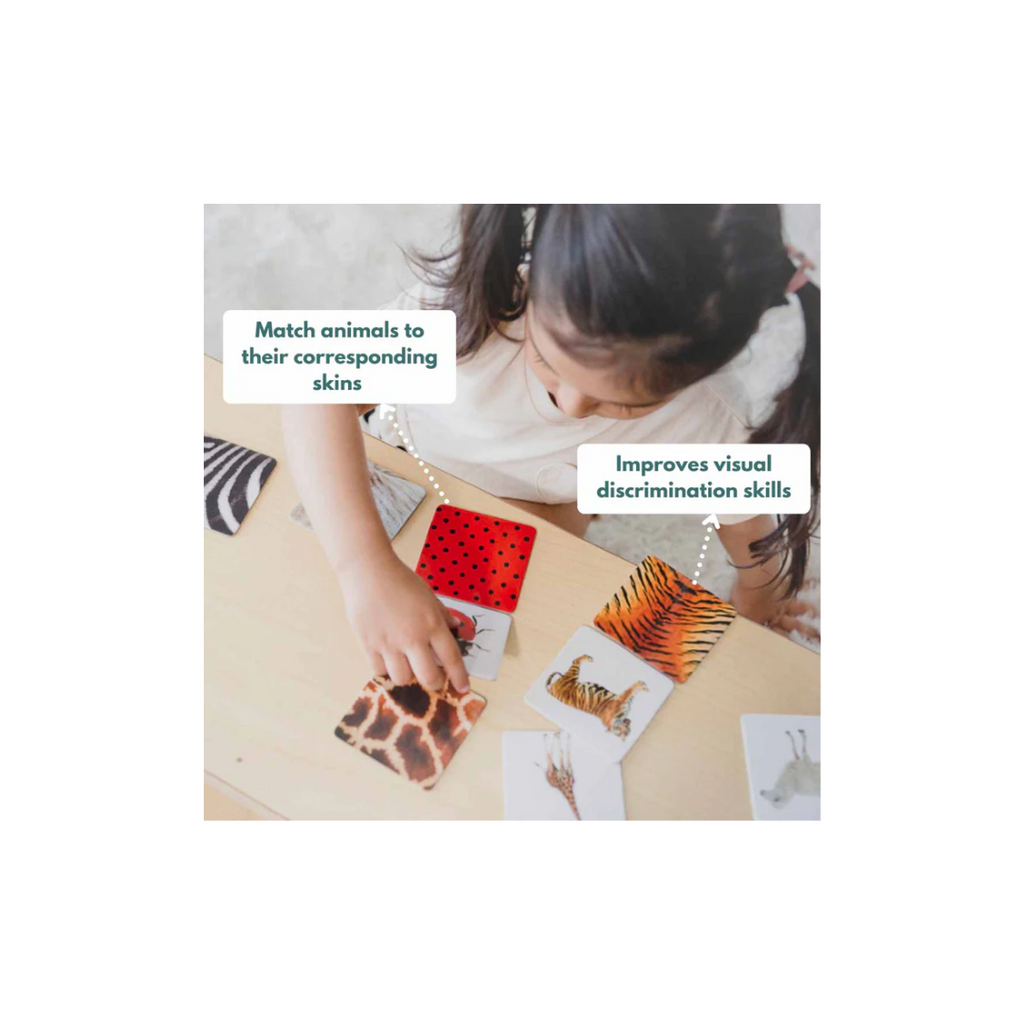 Curious Cub Montessori Box- 2 Years 9 Months + (Level- 14)