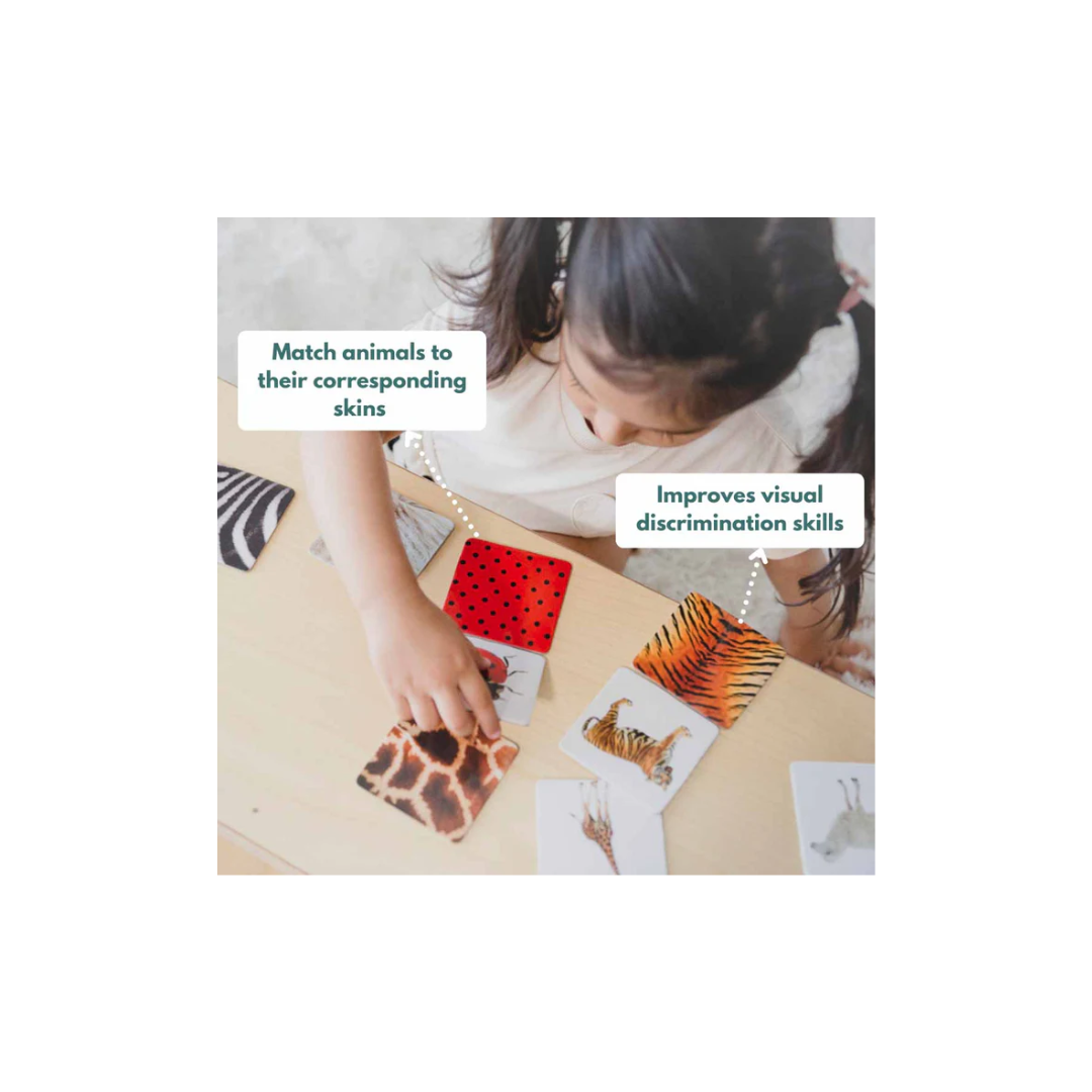 Curious Cub Montessori Box- 2 Years 9 Months + (Level- 14)