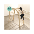 Curious Cub Wooden Transformable Pikler Triangle