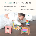Curious Cub Montessori Learning Wooden Toy Level -3 5 months+