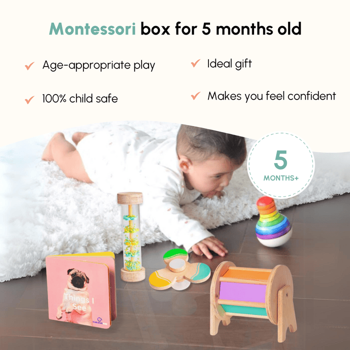 Curious Cub Montessori Learning Wooden Toy Level -3 5 months+