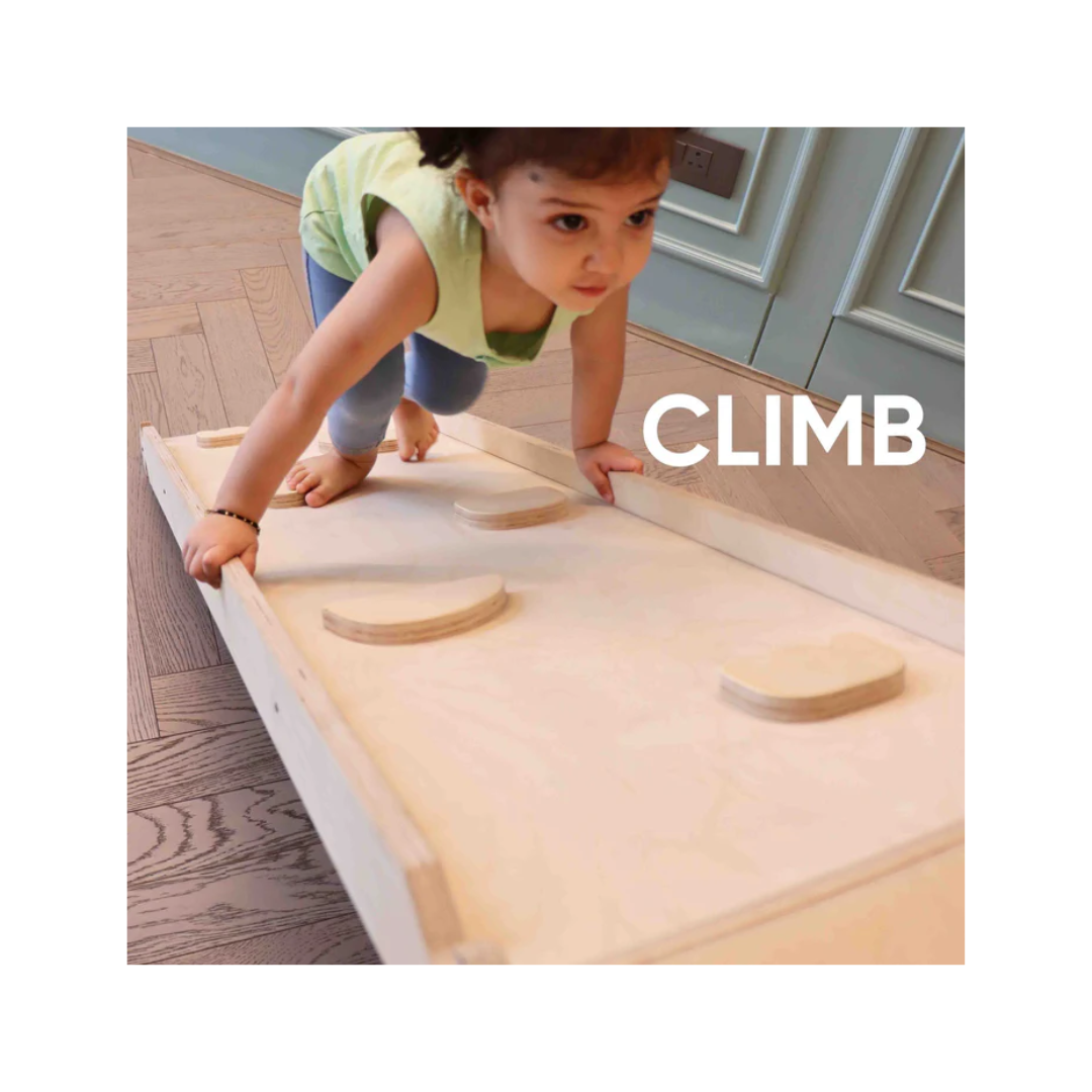 Curious Cub Wooden 4-in-1 Jungle Gym