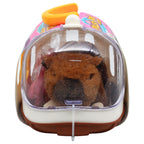 Rainbow Toys Cute Soft Plush Pet Electric Toy