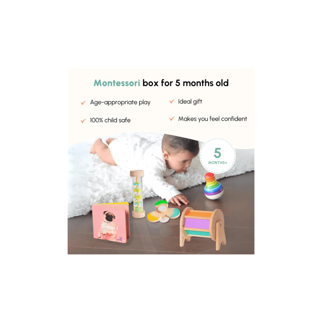 Curious Cub Montessori Learning Wooden Toy Level -3 5 months+