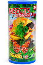 Insects Kingdom Realistic Insect Figures Set for Kids – Educational Toy | Age 3+