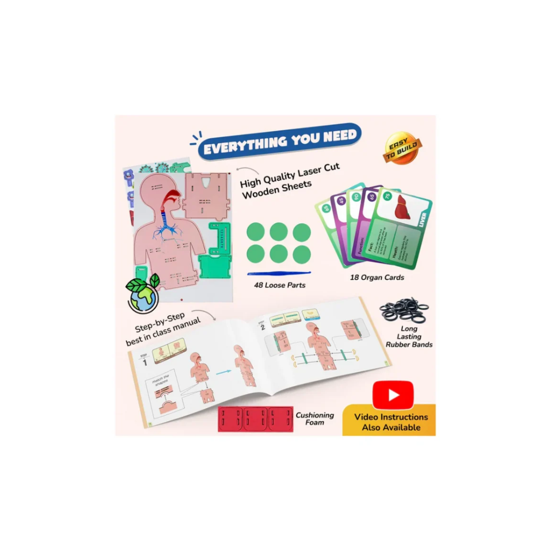 Smartivity Human Body Germ Buster