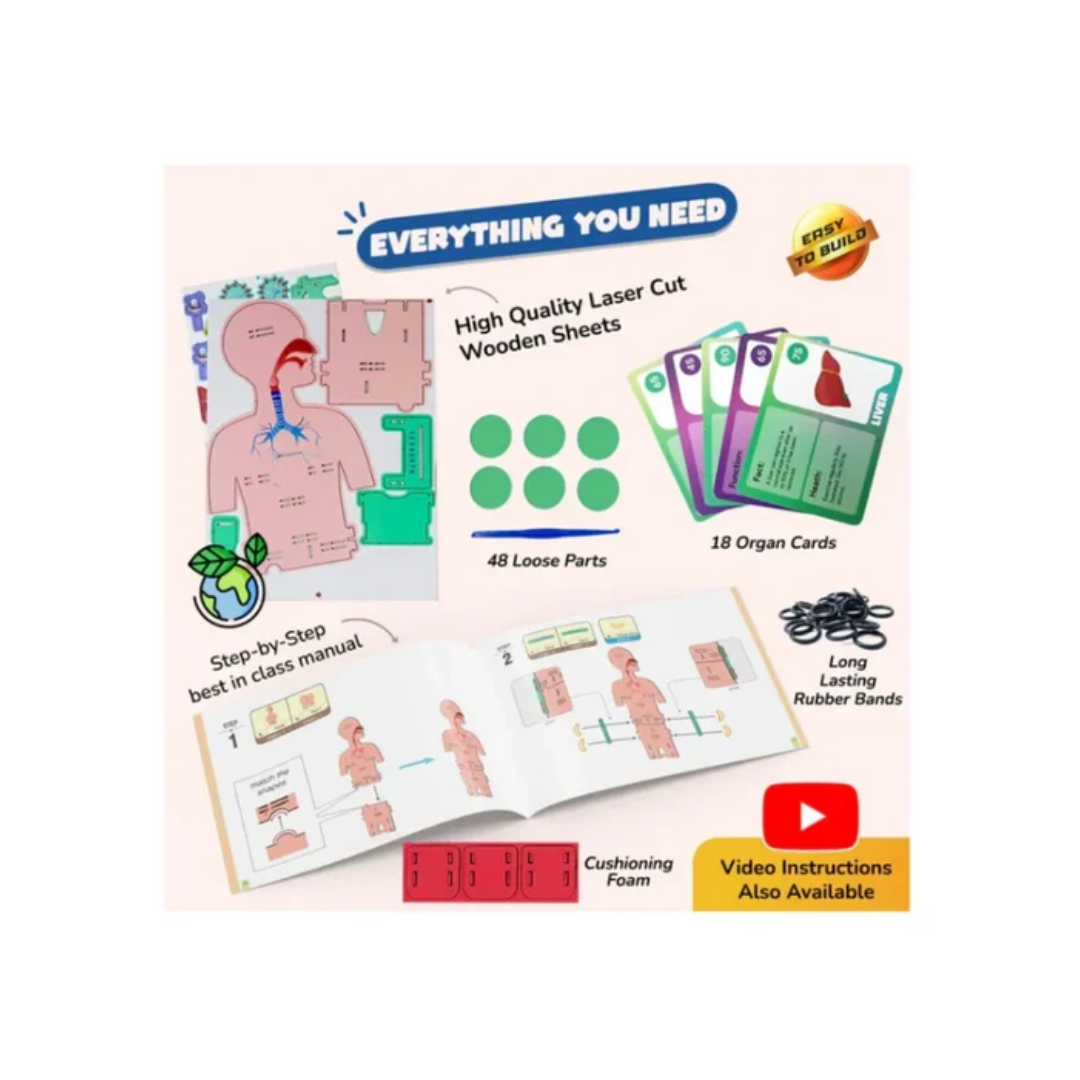 Smartivity Human Body Germ Buster