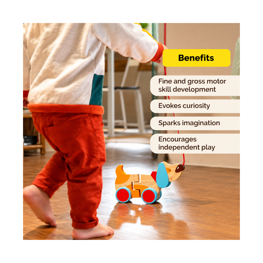 Shumee Wooden Dog Pull Along Toy - Bruno (1 Years+)