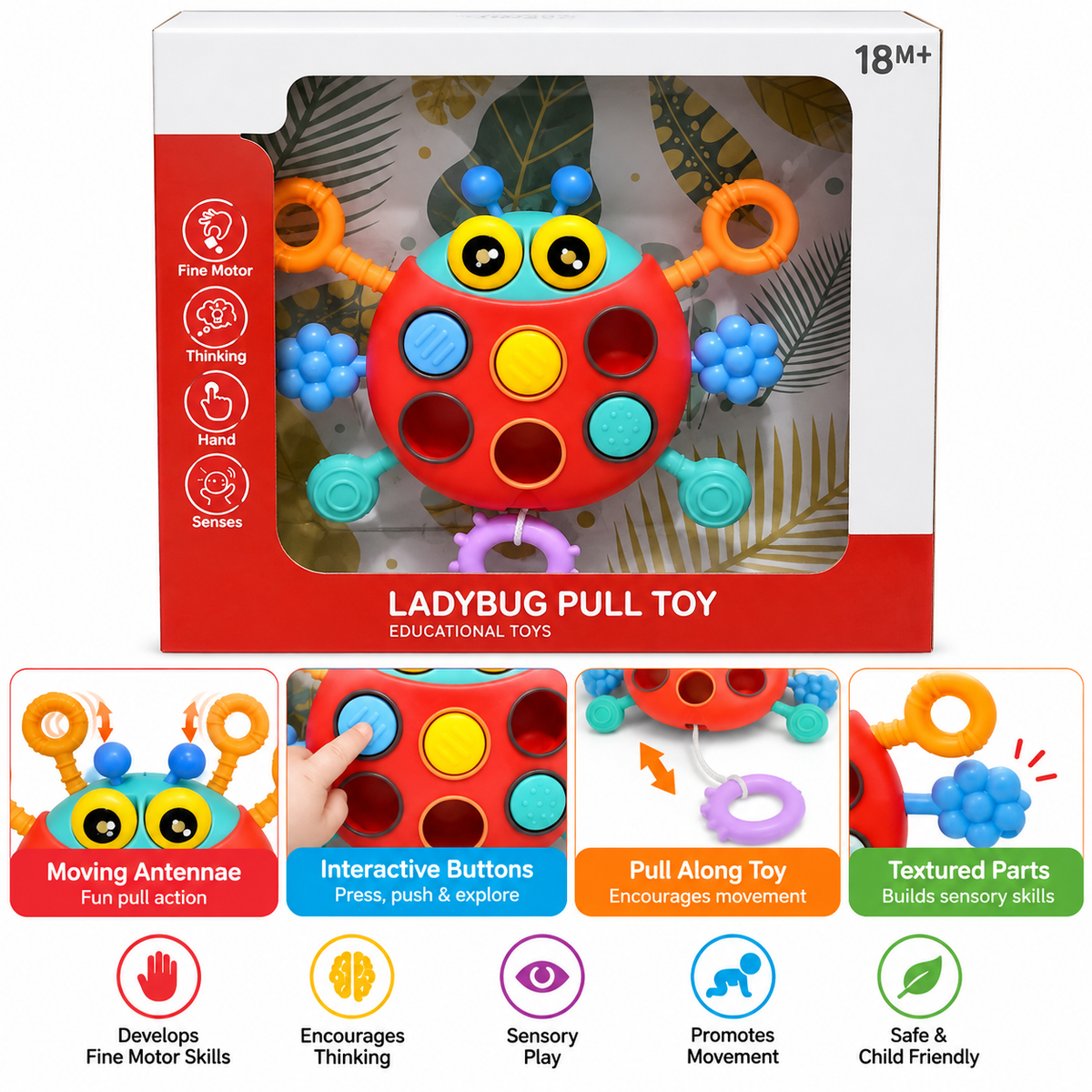 Ladybug Pull Toy for Babies Ages 18 Months+ | Montessori Sensory Educational Toy with Pull Strings, Colourful Buttons & Fine Motor Skill Activities