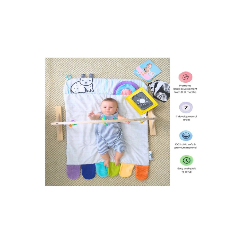Curious Cub Baby Play Gym
