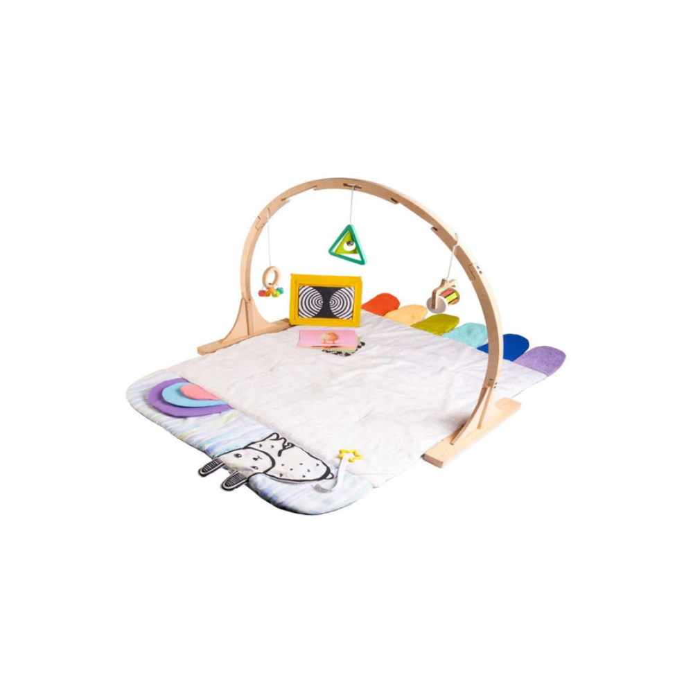 Curious Cub Baby Play Gym