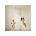 Curious Cub Monkey Bar with attachments
