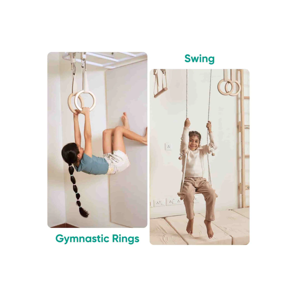 Curious Cub Monkey Bar with attachments
