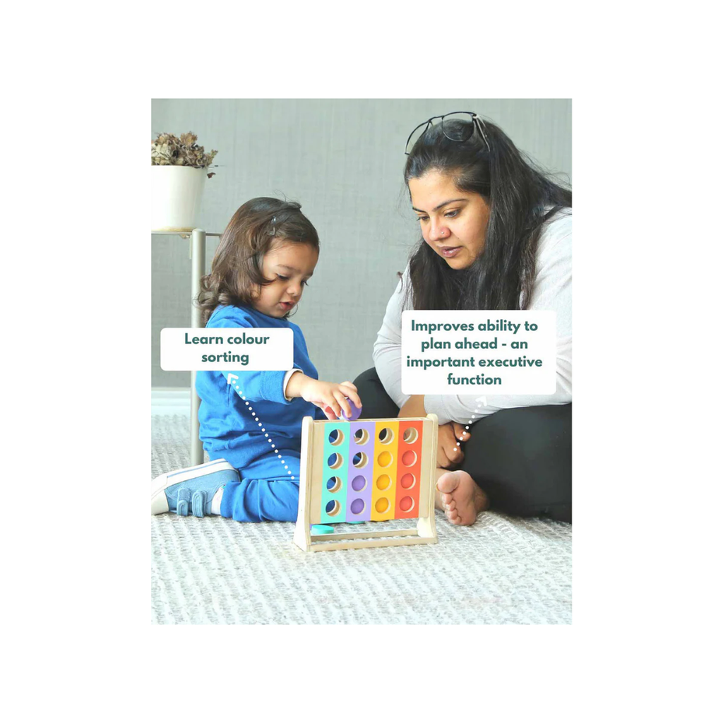 Curious Cub Colour Sorter Shape Sorter