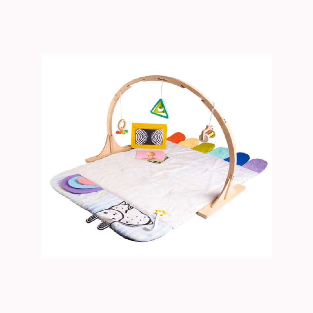 Curious Cub Baby Play Gym