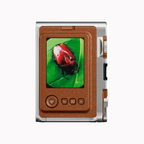 FUJIFILM Instax Mini Evo Hybrid Premium Edition Instant Camera  (Brown, Grey)