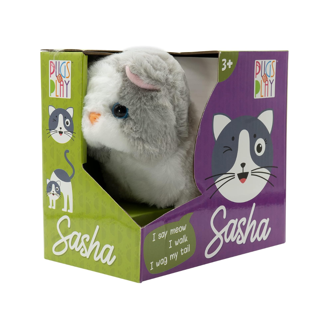 Pugs Play Sasha Walking Cat