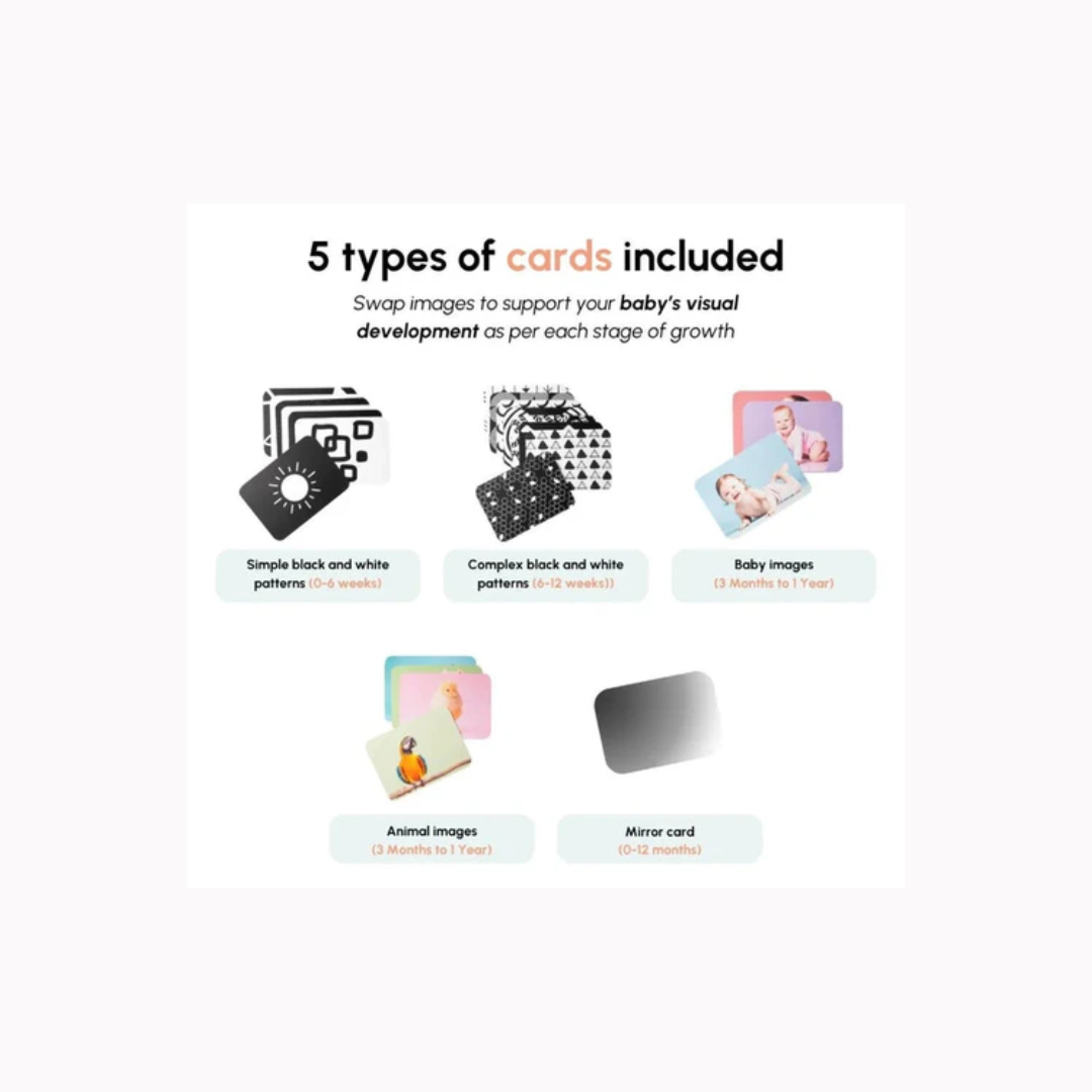 Curious Cub Baby Play Gym