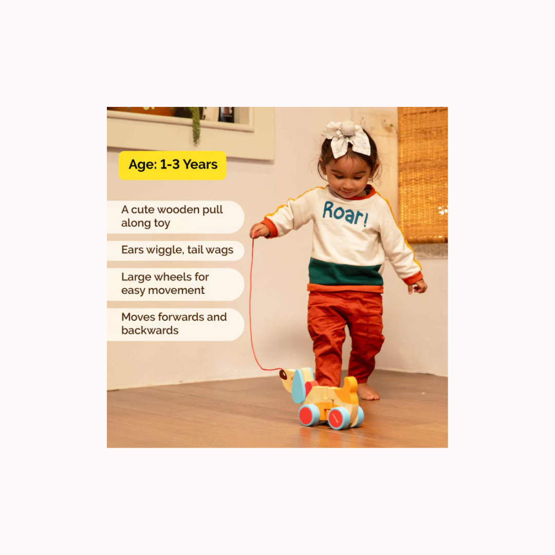 Shumee Wooden Dog Pull Along Toy - Bruno (1 Years+)