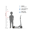 EMotorad Lil E Junior Electric Kick Scooter Foldable Aluminum Alloy Frame Charcoal Grey